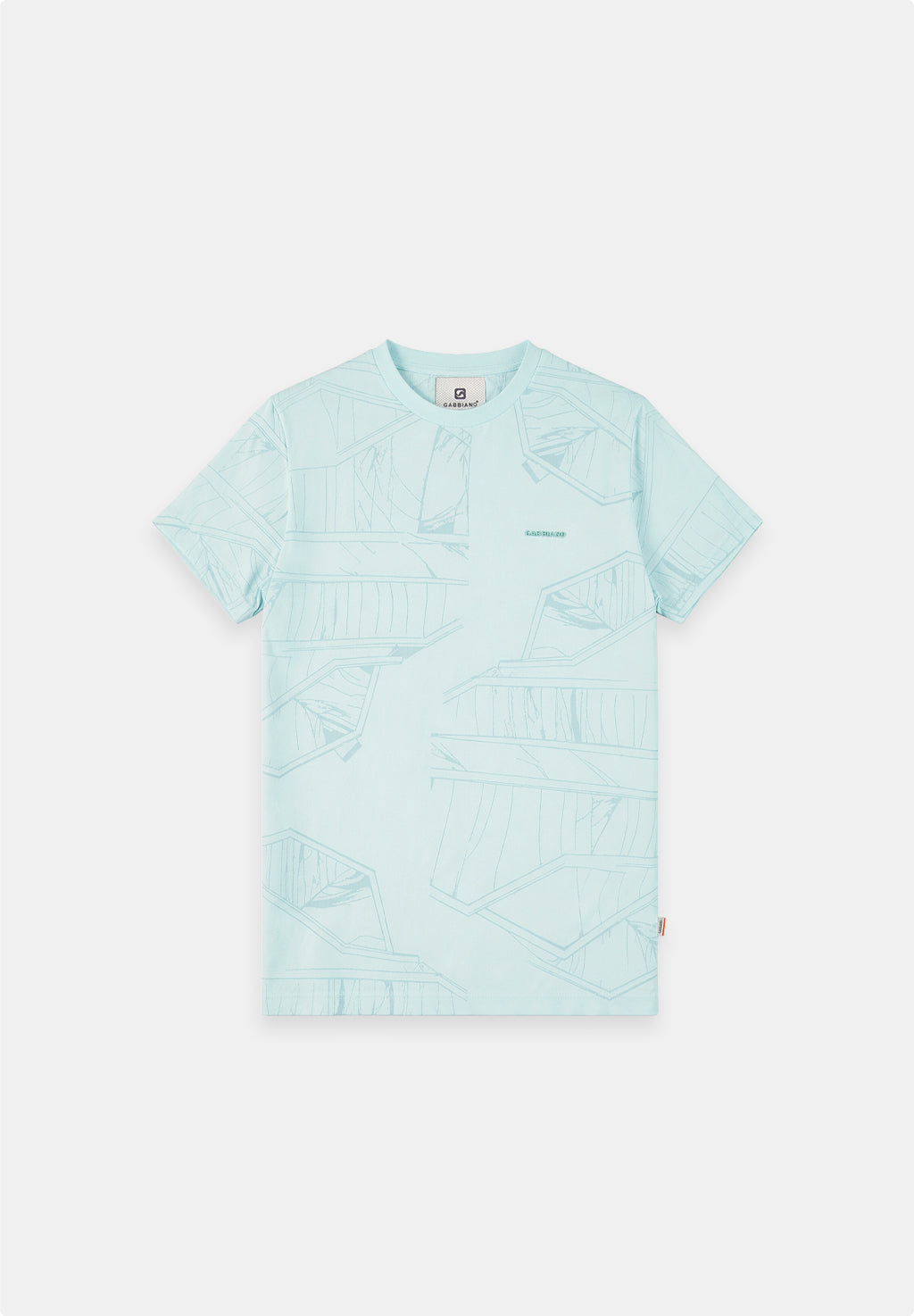 Regular fit t-shirt all over print