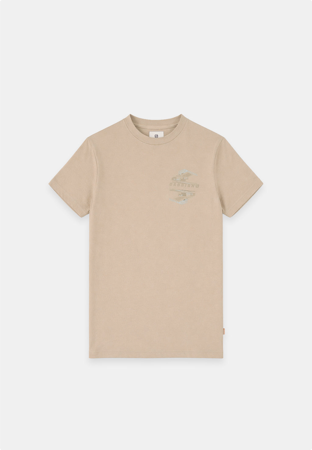 Regular fit t-shirt met embroidery en print
